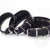DG Luxury collar SIMPLE BLACK