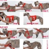 USA SET OF RACING SHIRTS FOR SIGHTHOUND BREEDS; SET OF NUMBERS 1-6